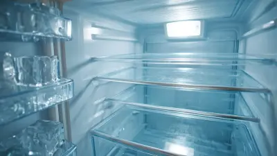 Essential Checklist for Choosing the Perfect Refrigerator Defrost Timer